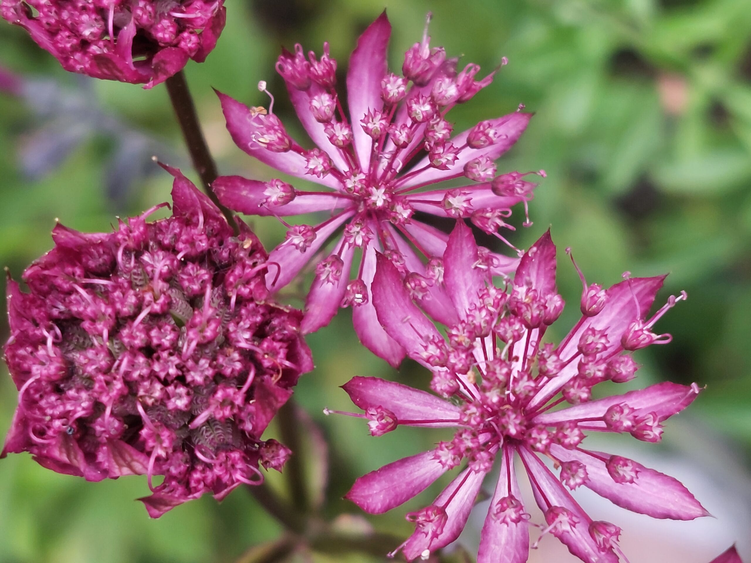 Neem contact op tuinontwerp