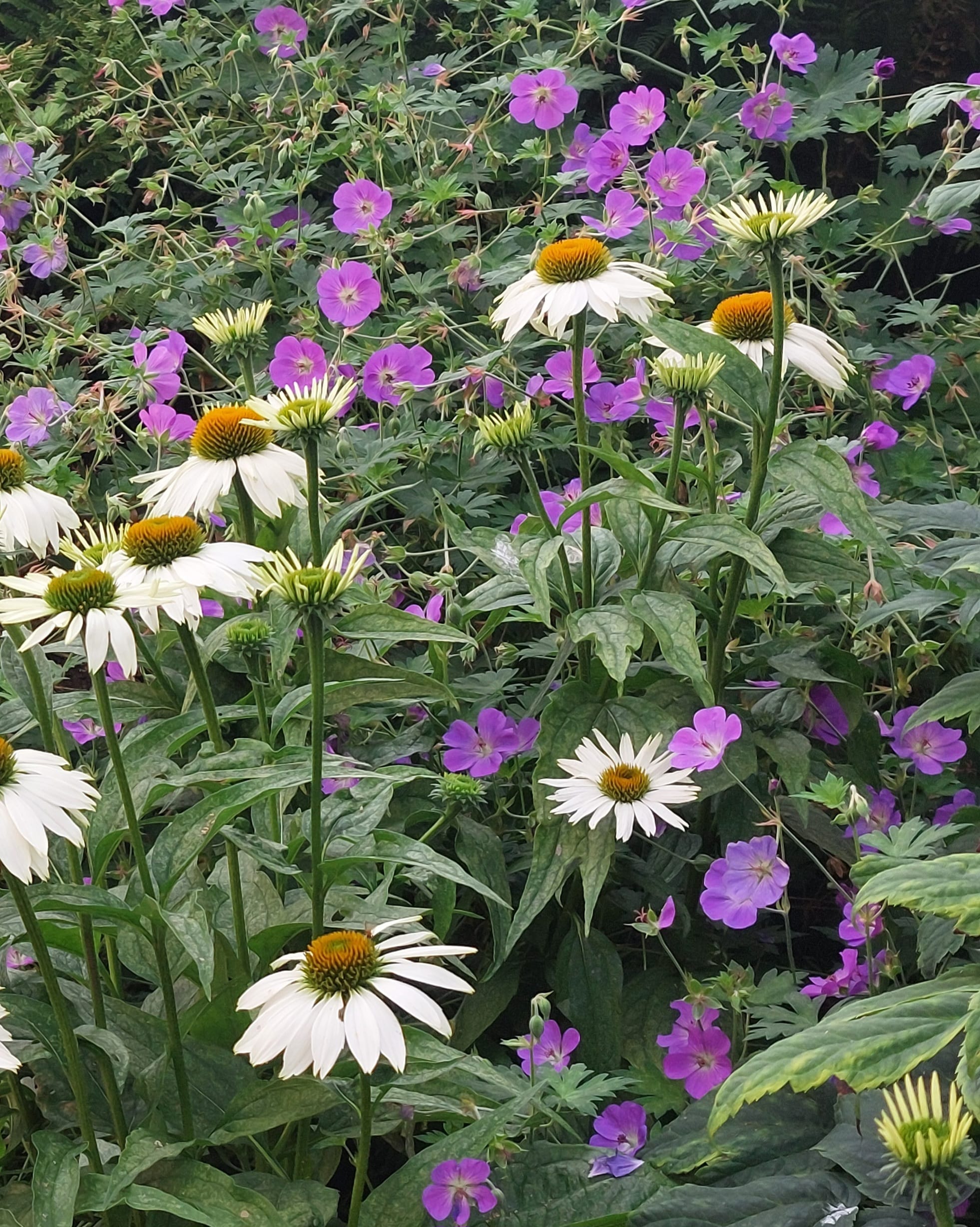 Beplanting combineren